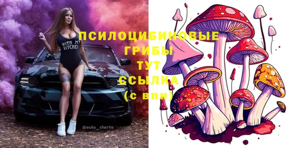 2c-b Алексеевка