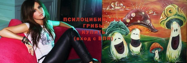 mdpv Алексин