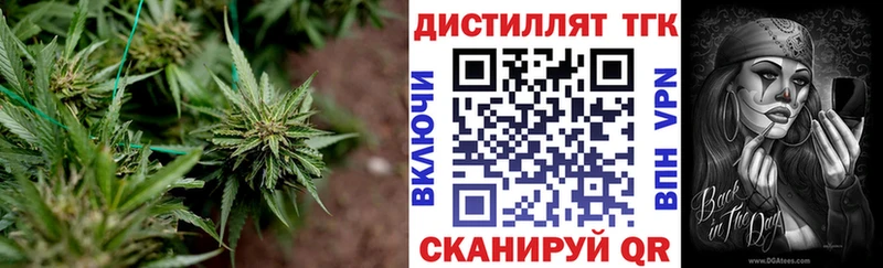 где купить наркоту  Ардон  блэк спрут ONION  Дистиллят ТГК THC oil 