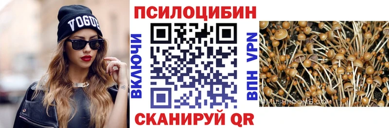 Галлюциногенные грибы Cubensis  где продают   Ардон 